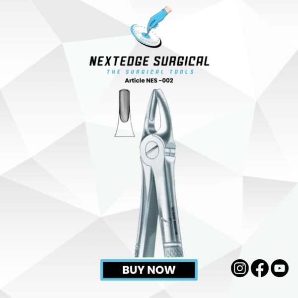 Article NES -002