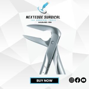 Lower Roots Artcile NES -066