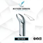 1st & 2nd Lower Molars Universal, Cow Horn NES - Article 786-250