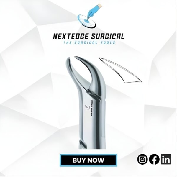 1st & 2nd Lower Molars Universal, Cow Horn NES - Article 786-250