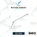 Berger  Article NES-14-439-20